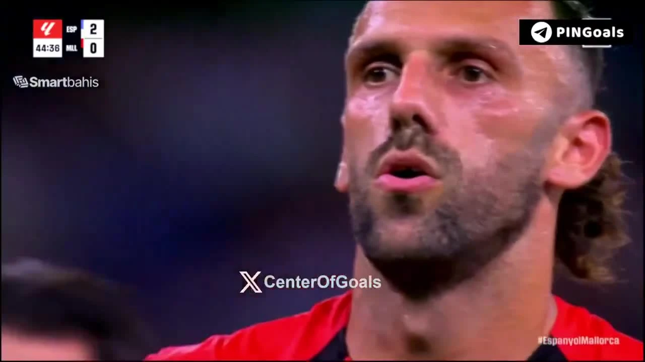 zaslepka skrotu video