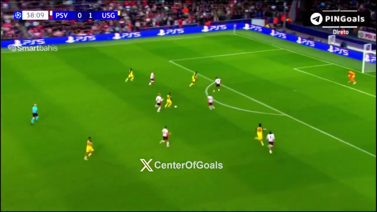 zaslepka skrotu video
