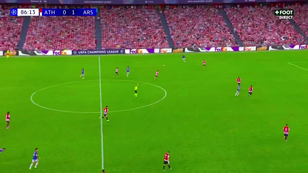 zaslepka skrotu video