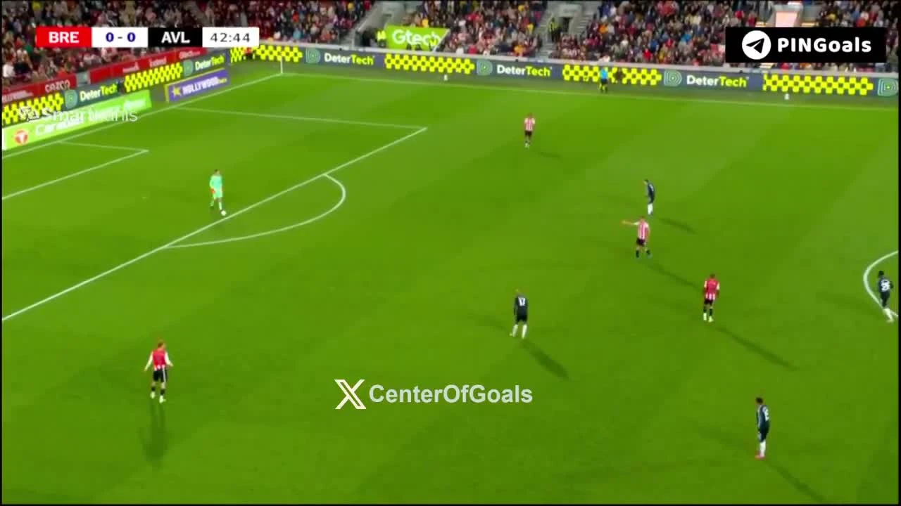 zaslepka skrotu video