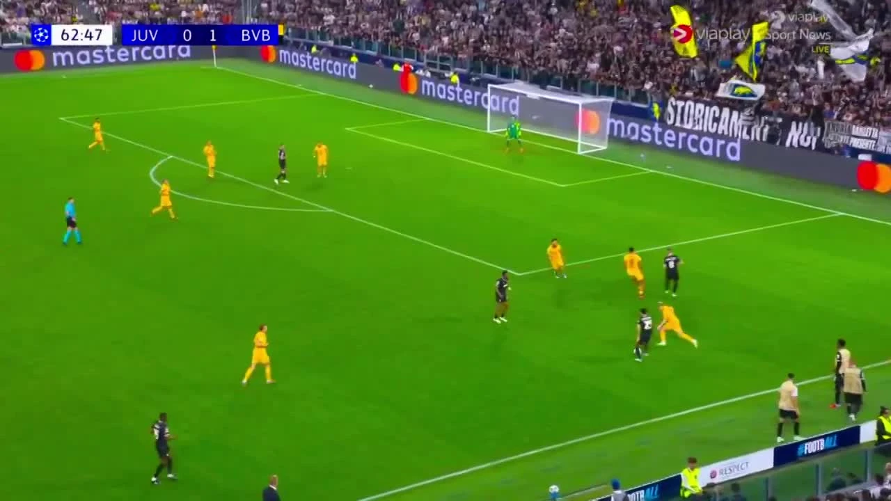zaslepka skrotu video