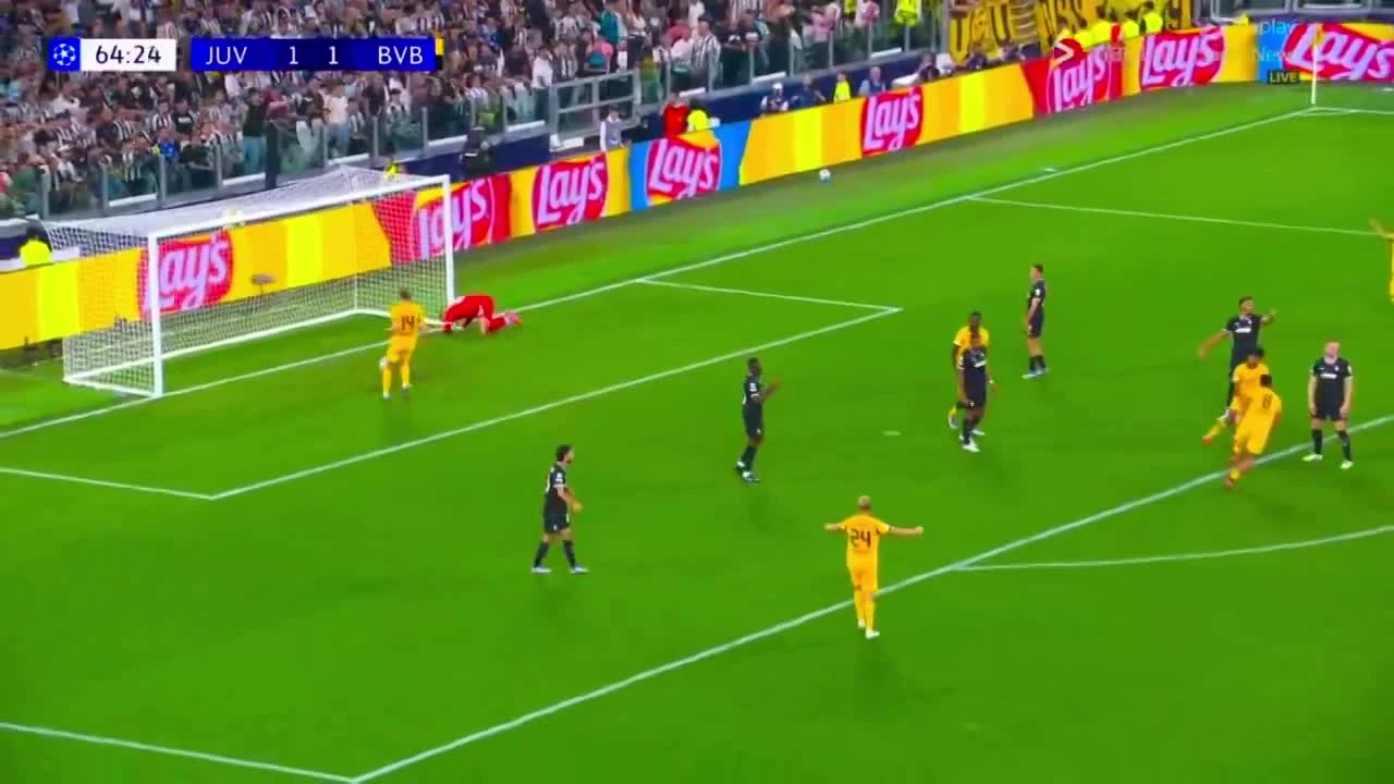 zaslepka skrotu video