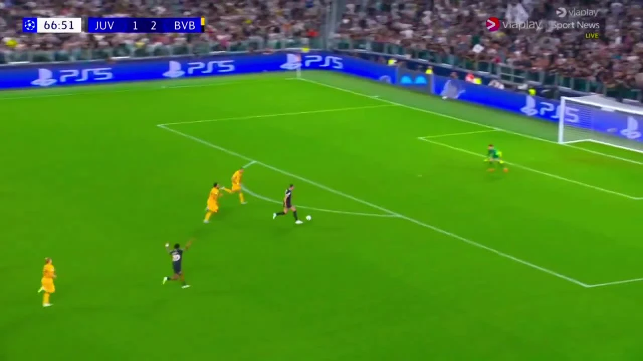 zaslepka skrotu video