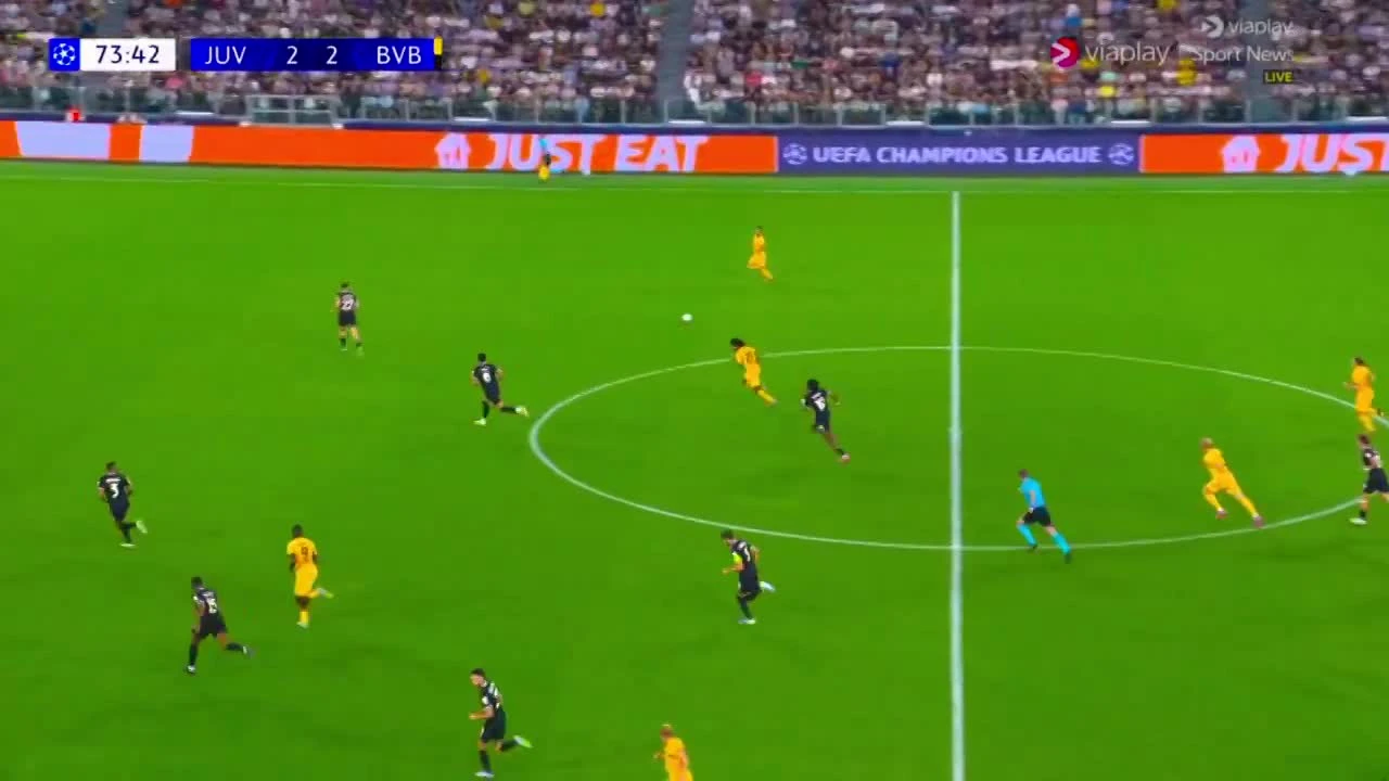 zaslepka skrotu video