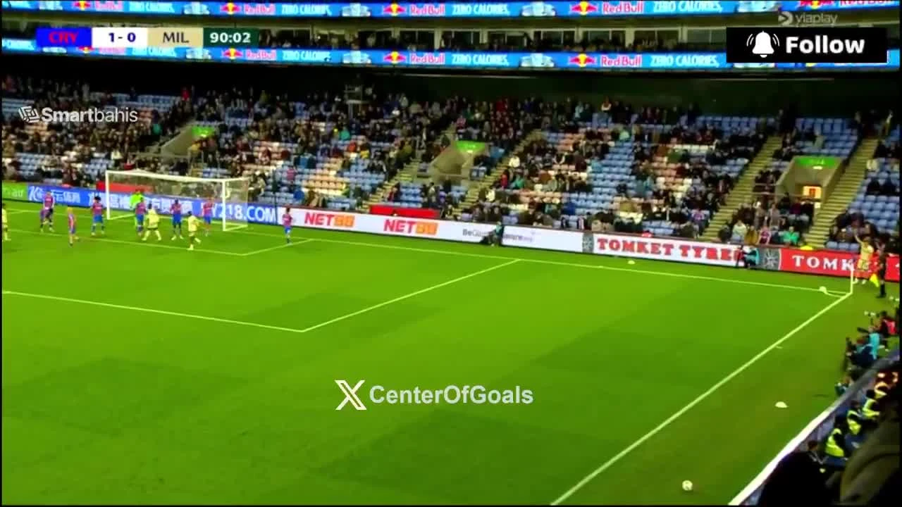 zaslepka skrotu video