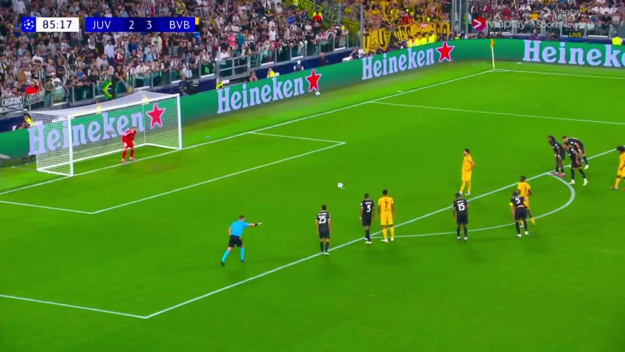 zaslepka skrotu video