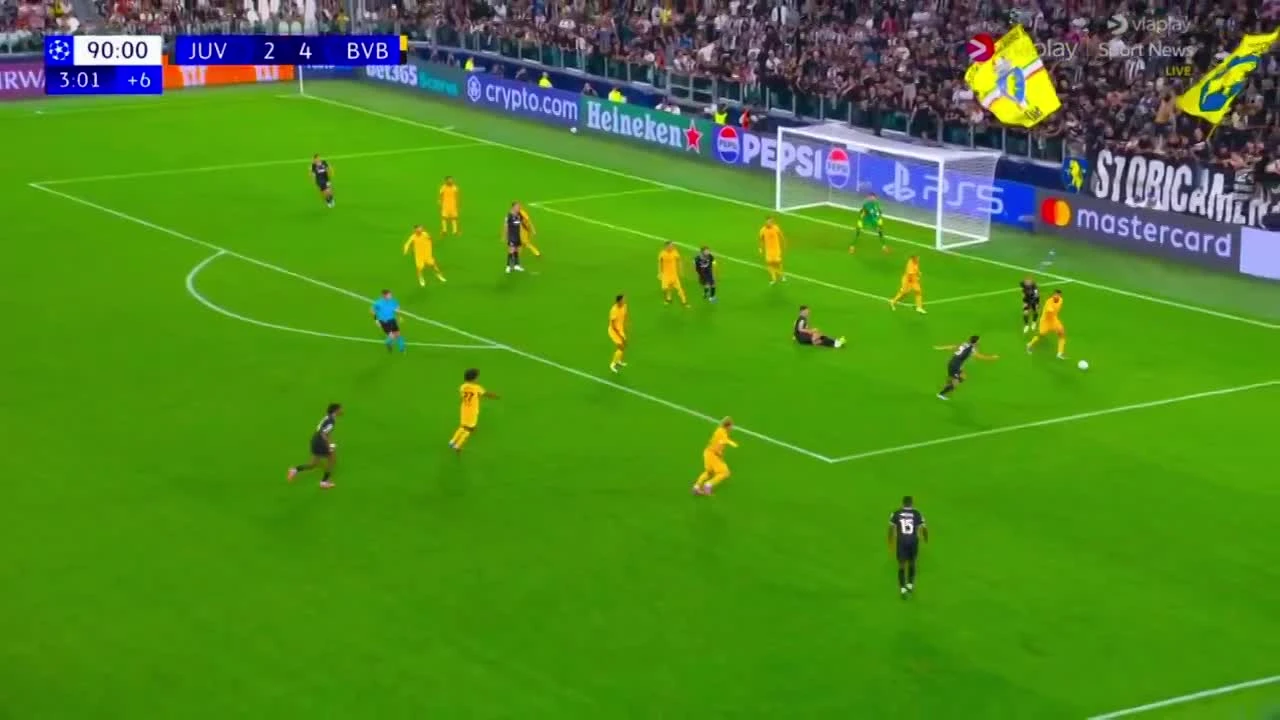 zaslepka skrotu video