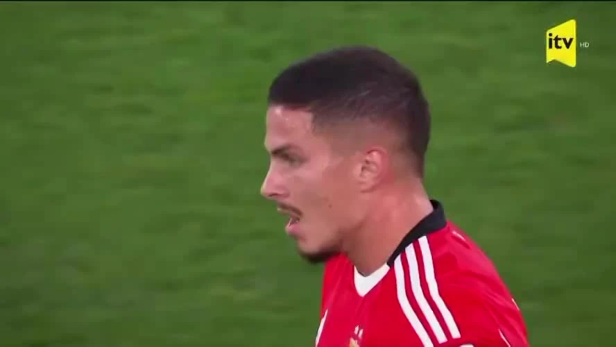 zaslepka skrotu video