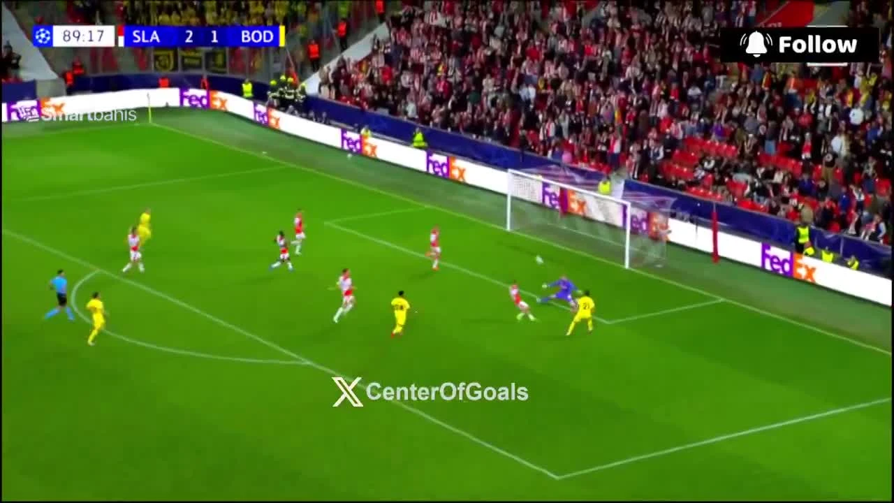 zaslepka skrotu video