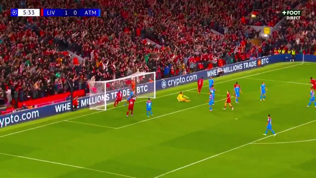 zaslepka skrotu video