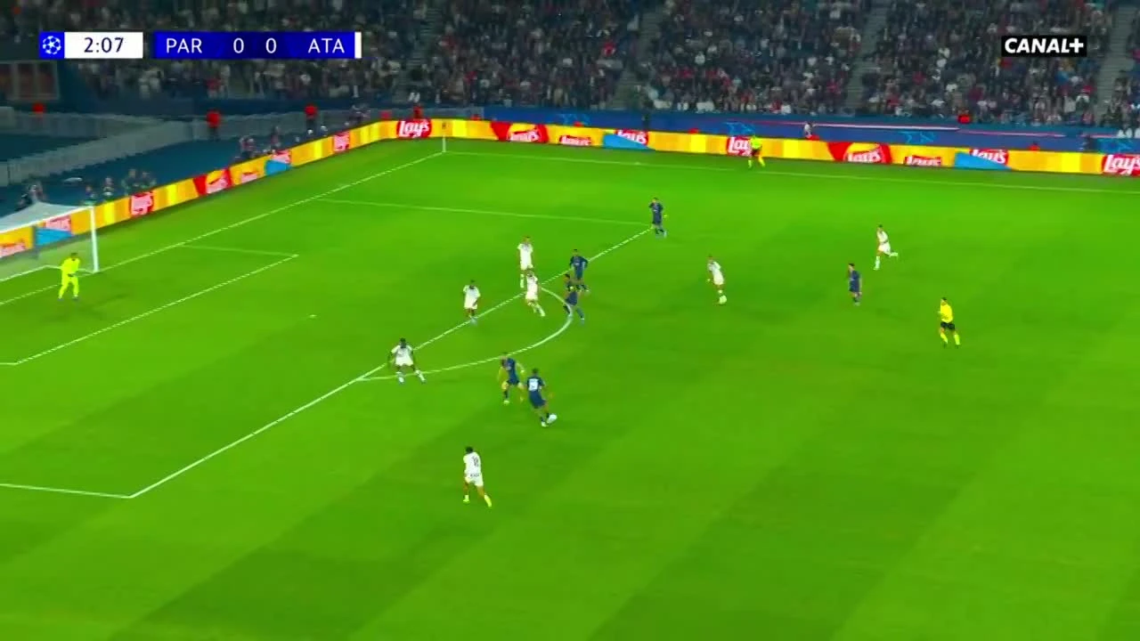 zaslepka skrotu video