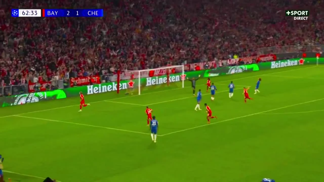 zaslepka skrotu video
