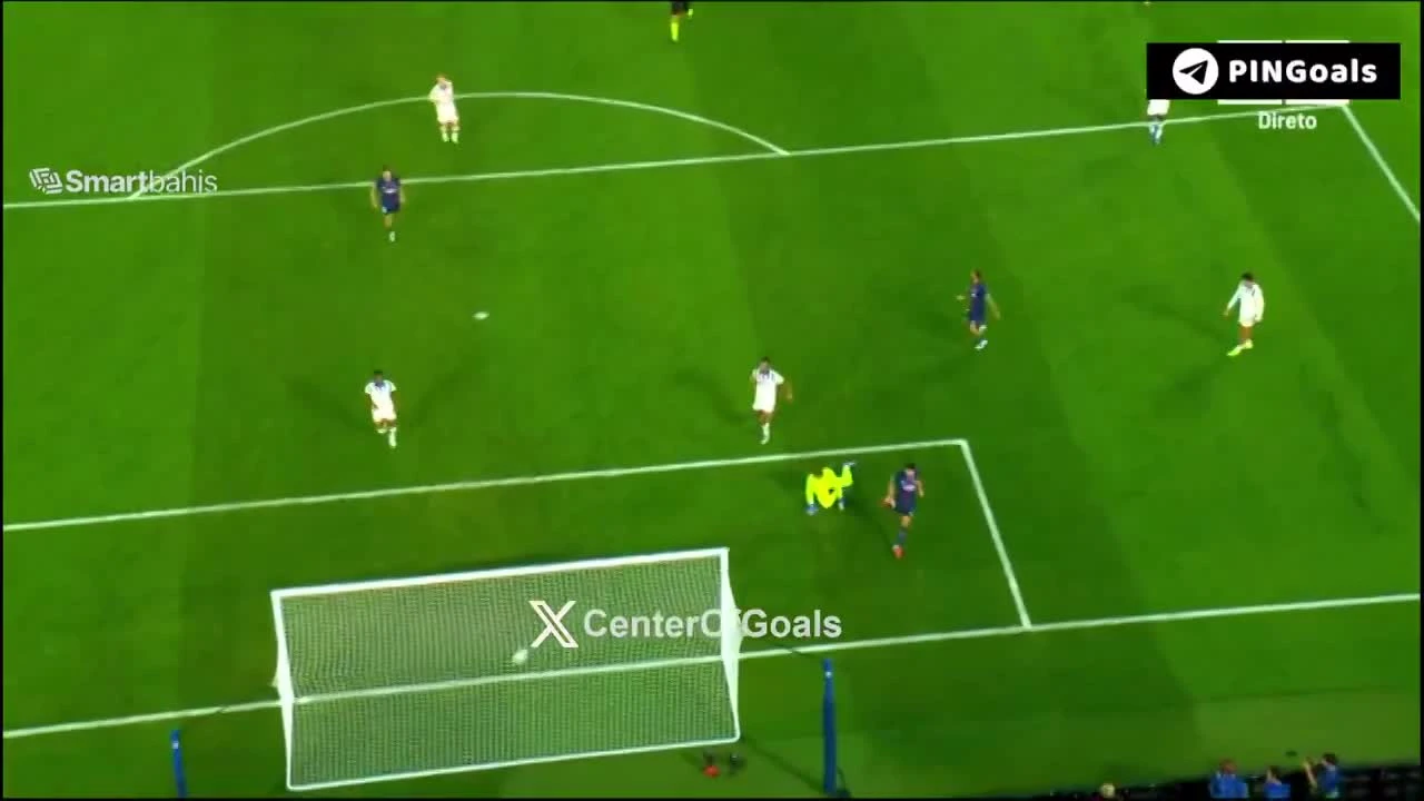 zaslepka skrotu video