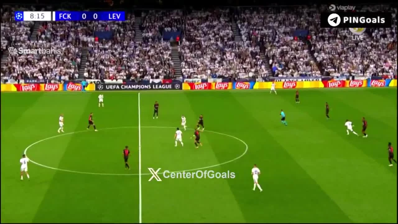 zaslepka skrotu video