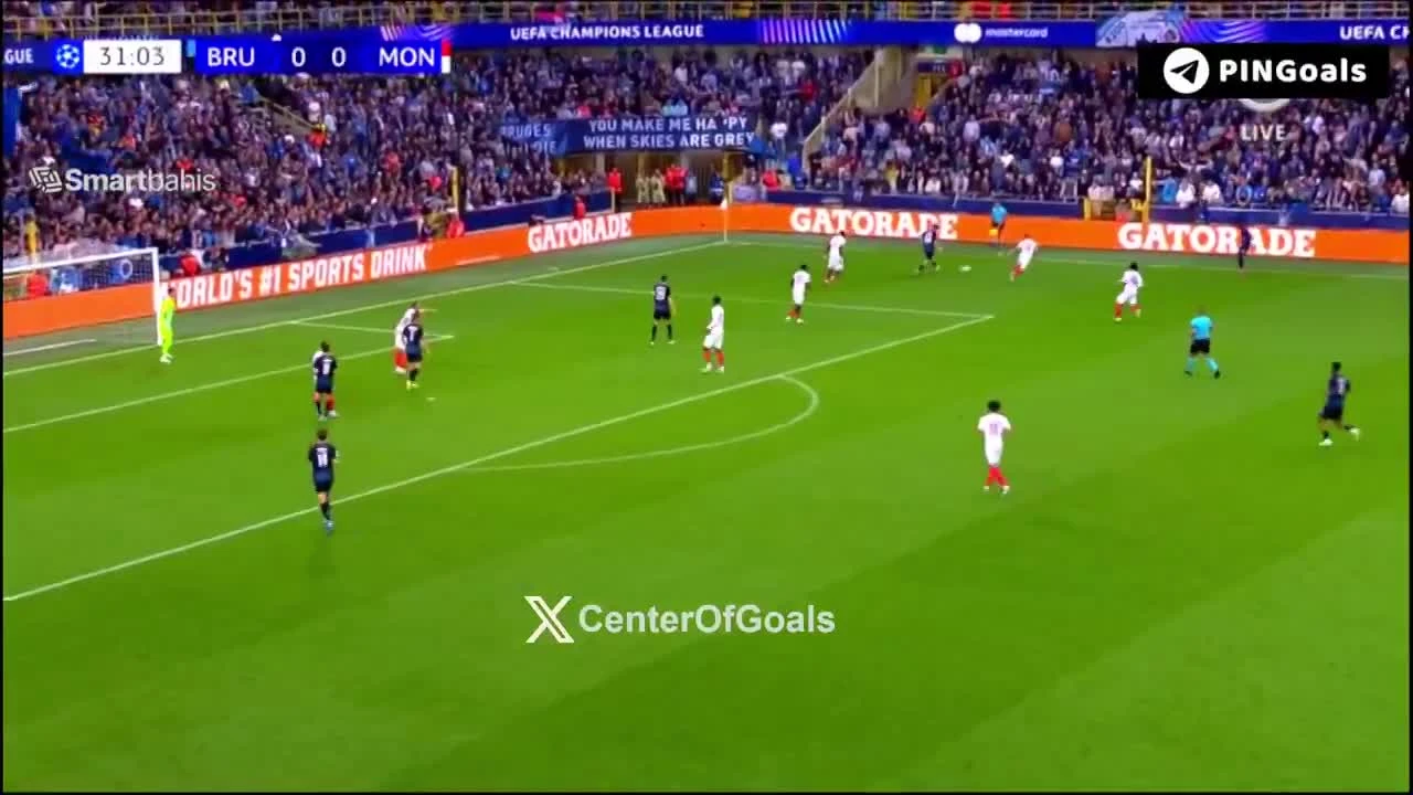 zaslepka skrotu video