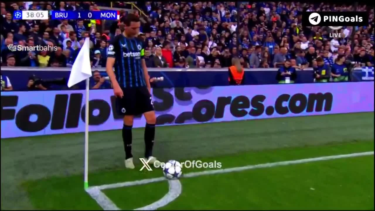 zaslepka skrotu video
