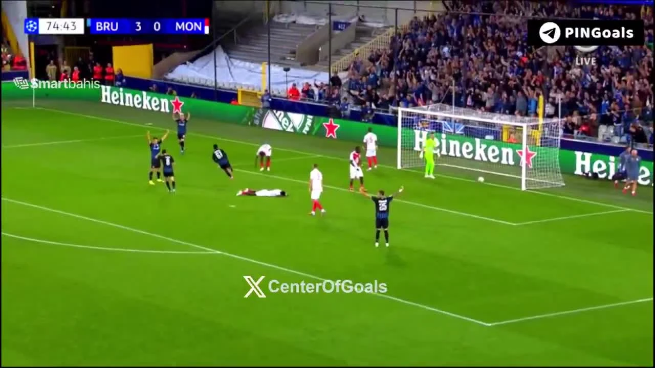 zaslepka skrotu video