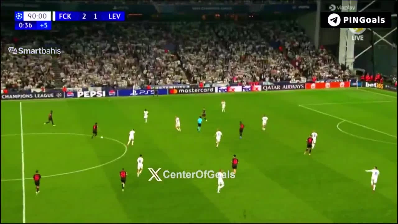 zaslepka skrotu video