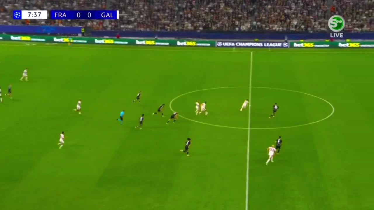 zaslepka skrotu video