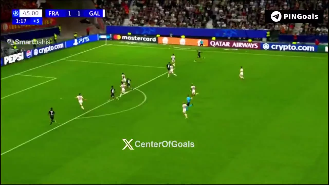 zaslepka skrotu video