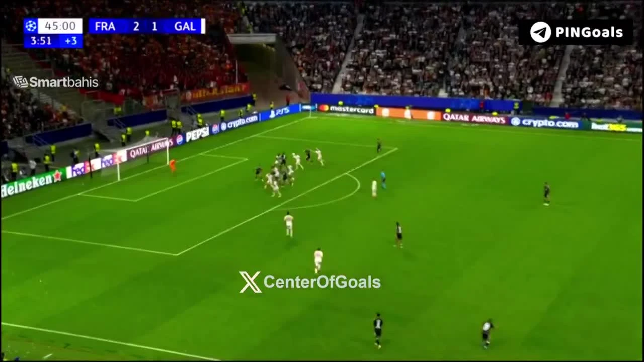 zaslepka skrotu video