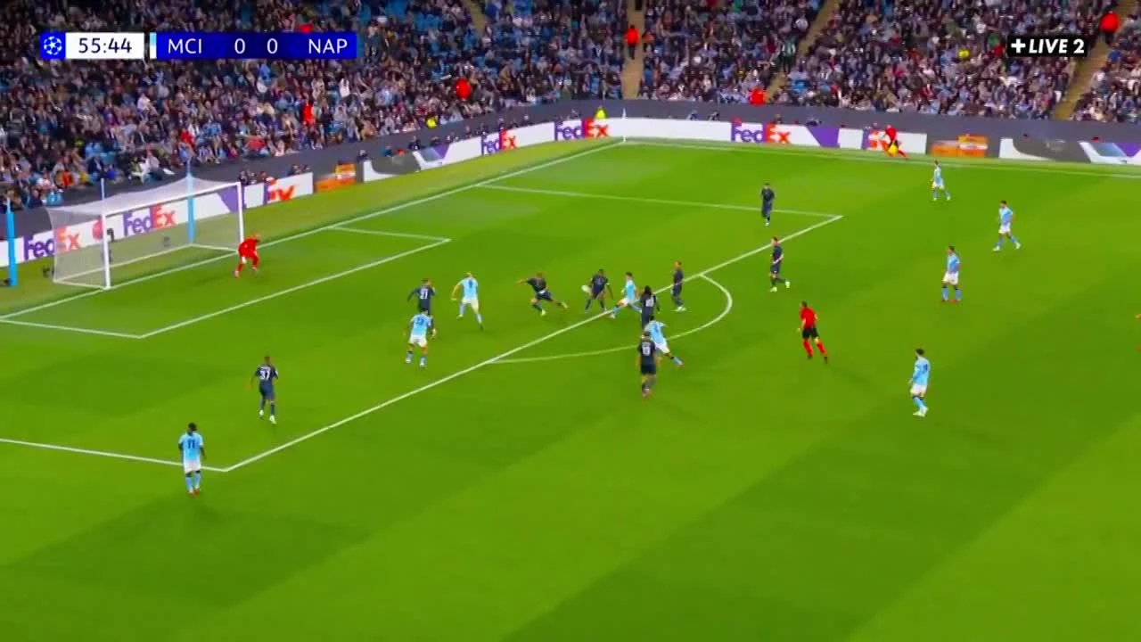 zaslepka skrotu video