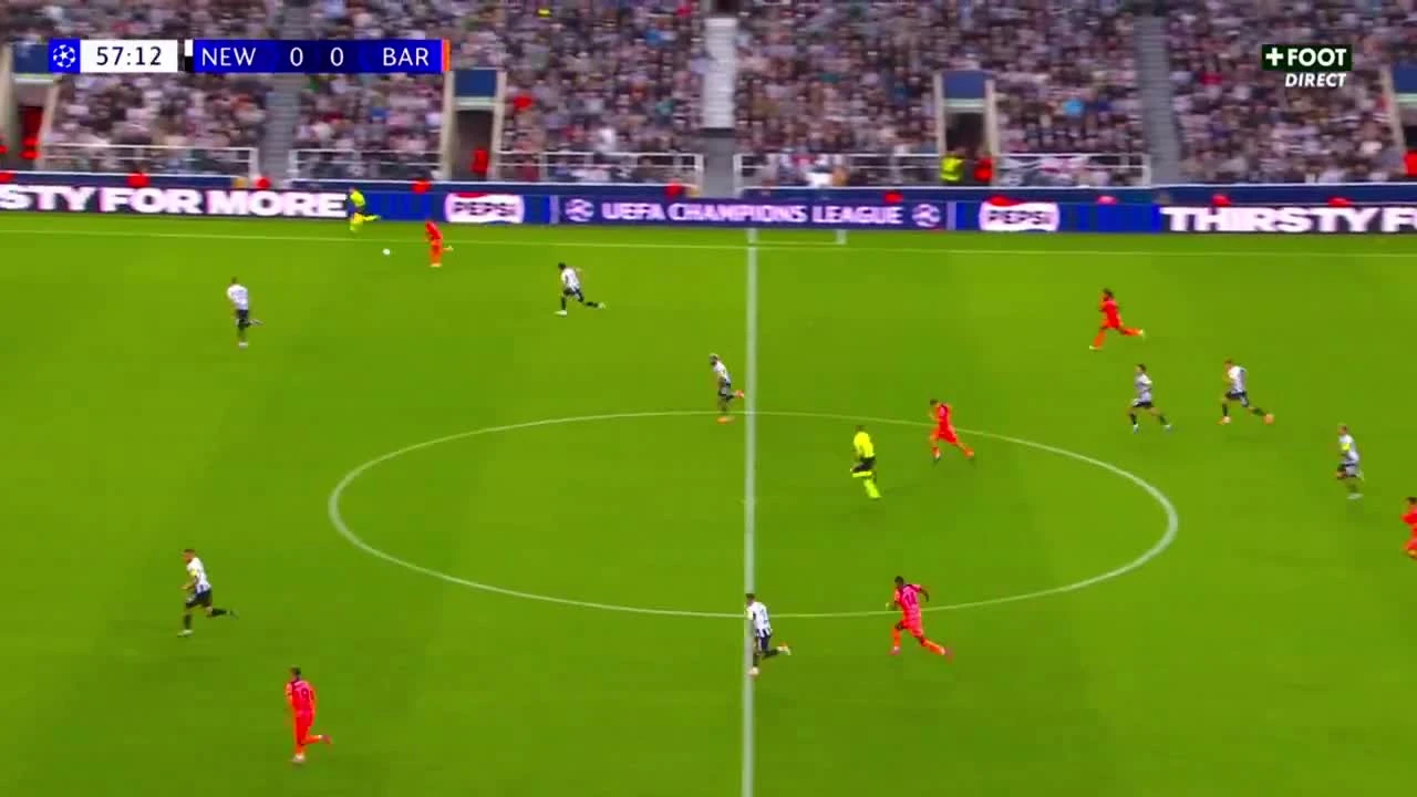 zaslepka skrotu video