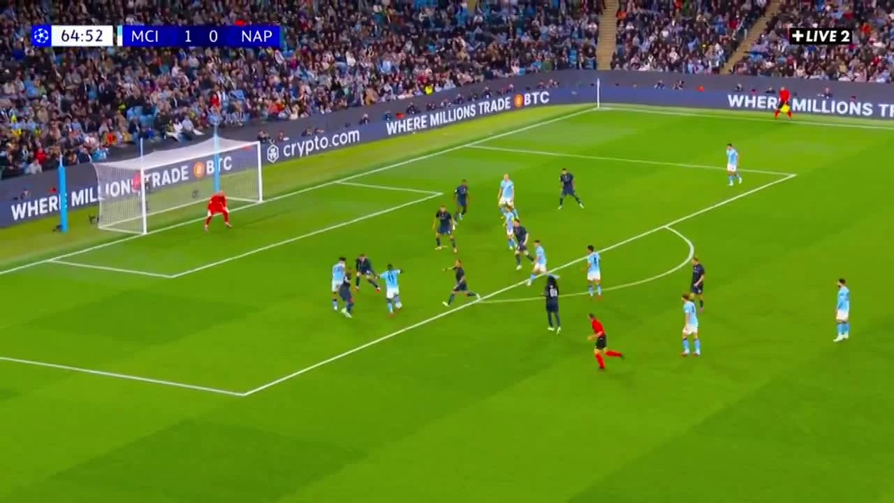zaslepka skrotu video