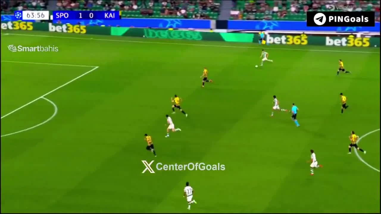 zaslepka skrotu video