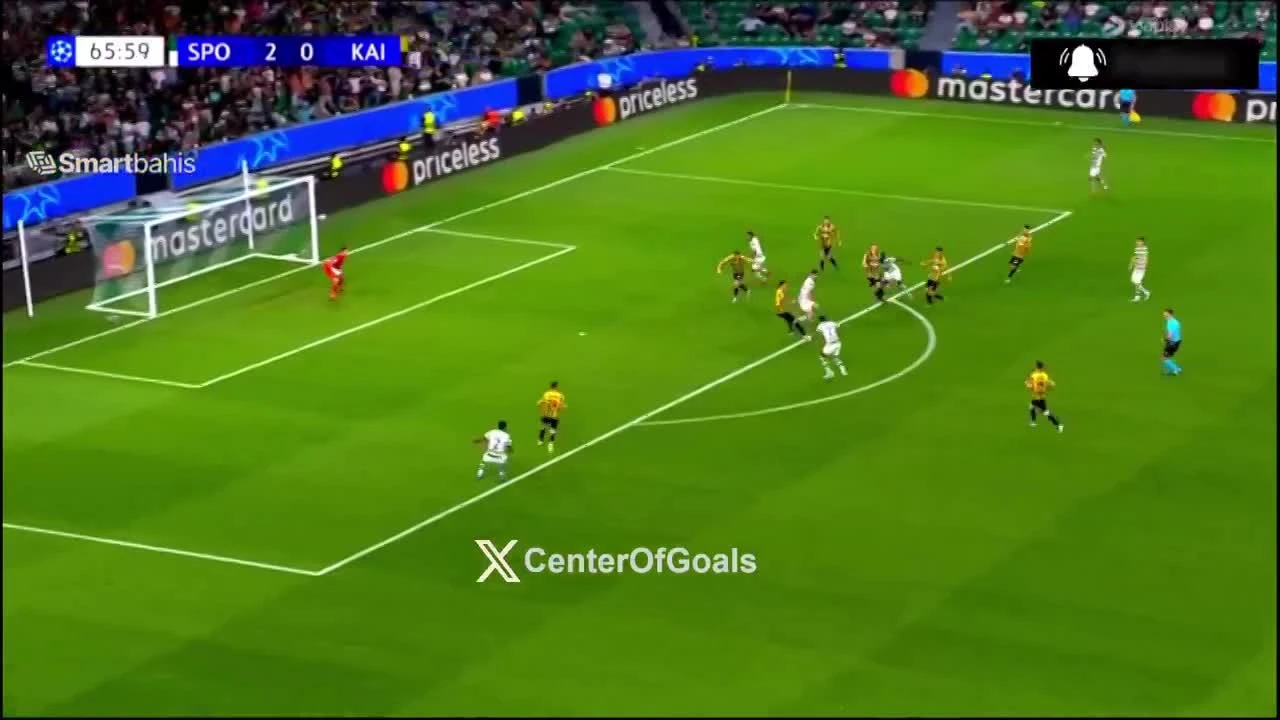 zaslepka skrotu video