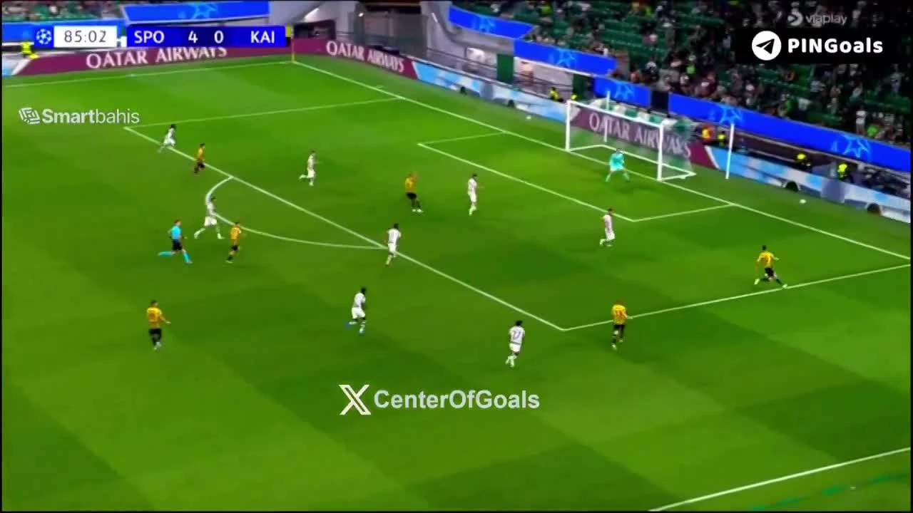 zaslepka skrotu video