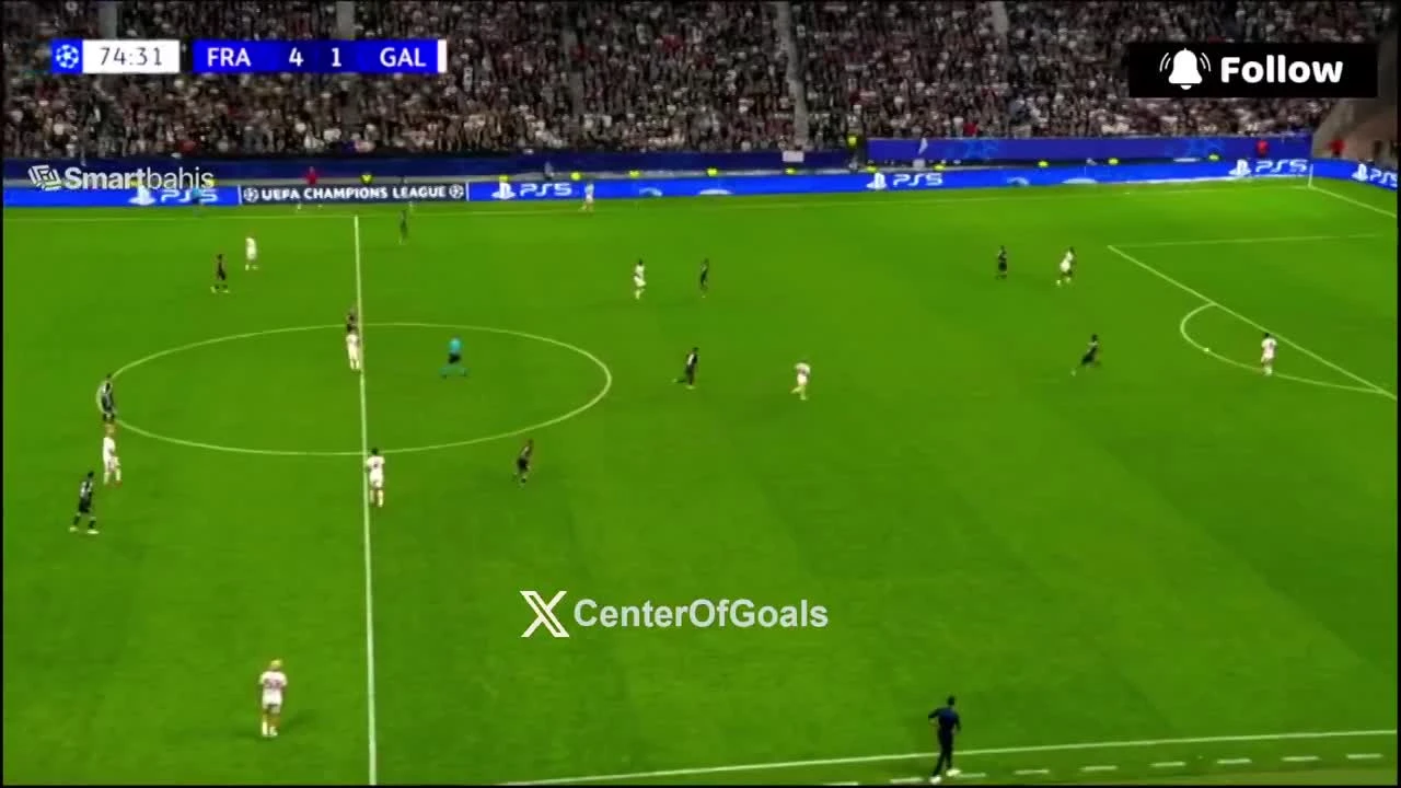 zaslepka skrotu video
