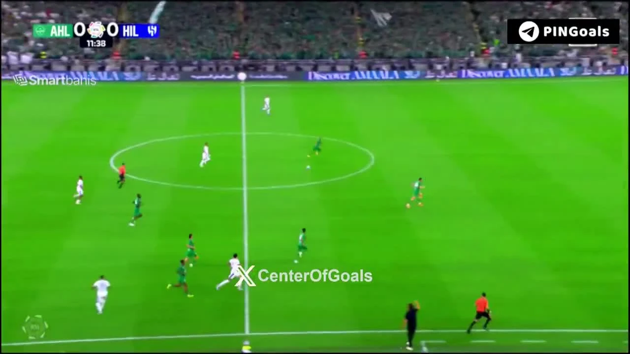 zaslepka skrotu video