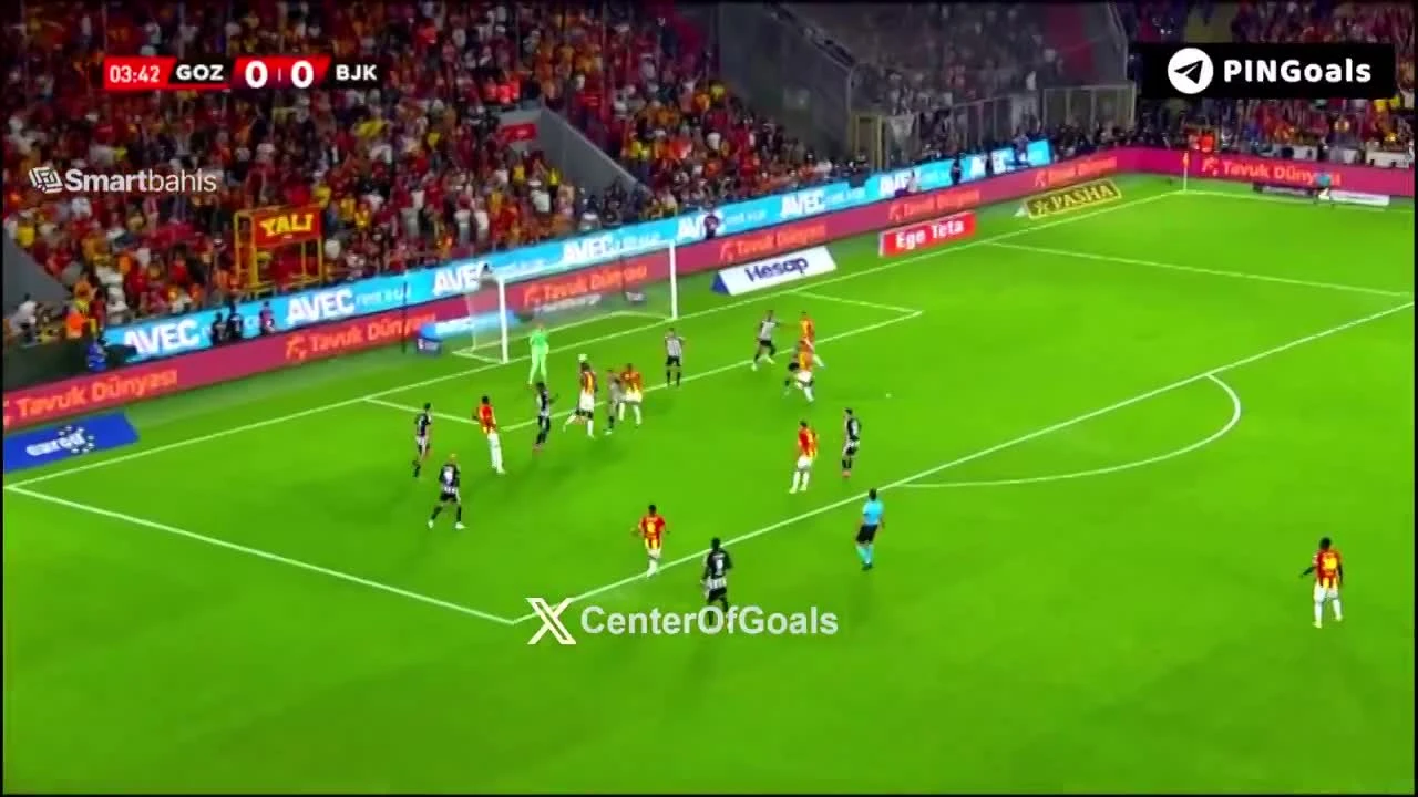 zaslepka skrotu video