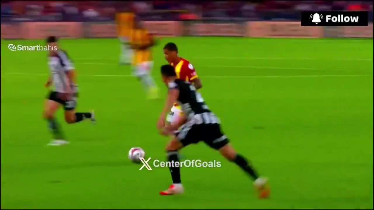 zaslepka skrotu video