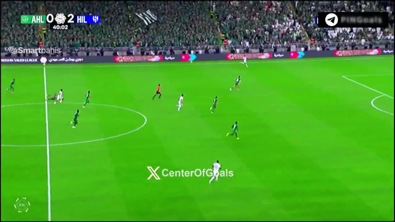 zaslepka skrotu video