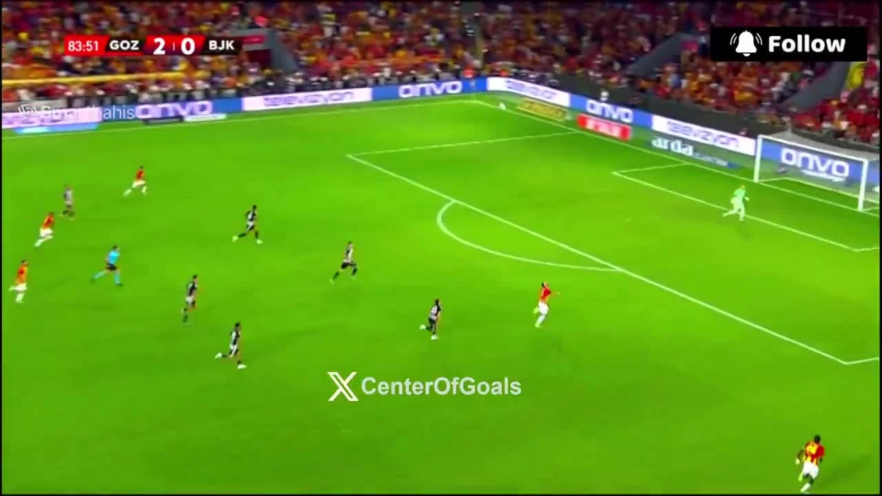 zaslepka skrotu video