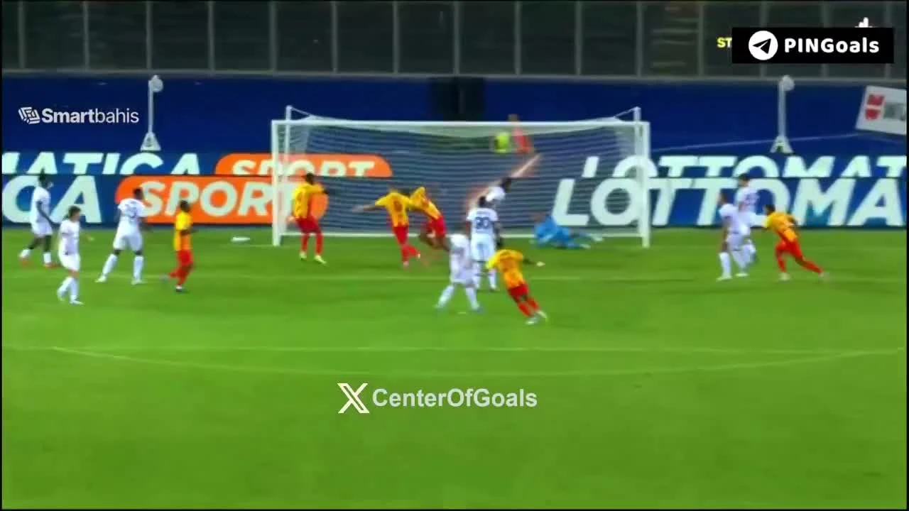 zaslepka skrotu video