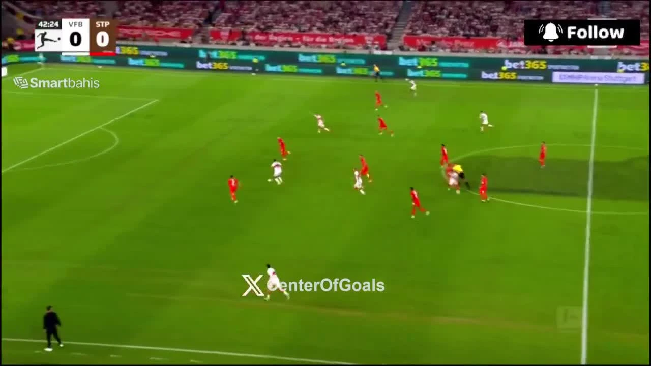 zaslepka skrotu video
