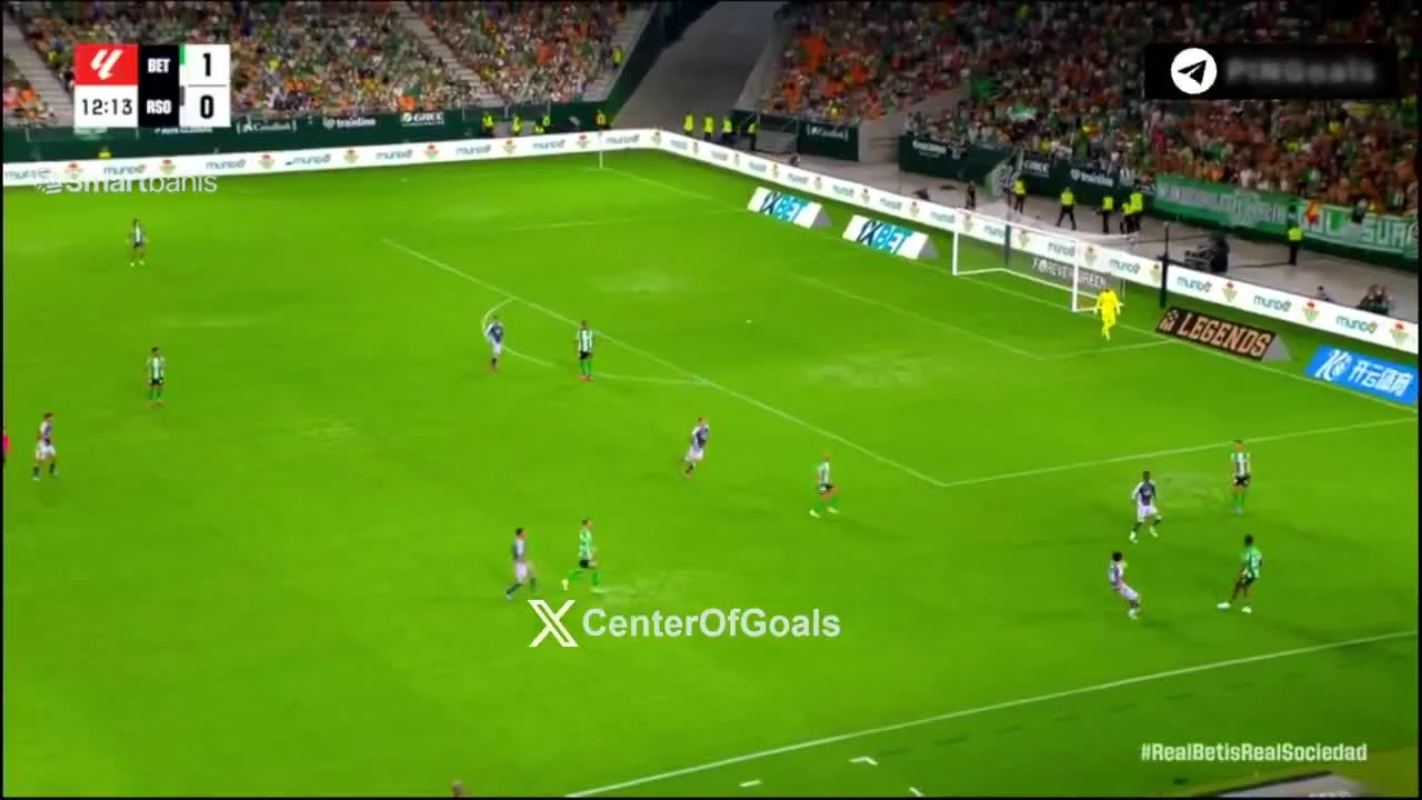 zaslepka skrotu video