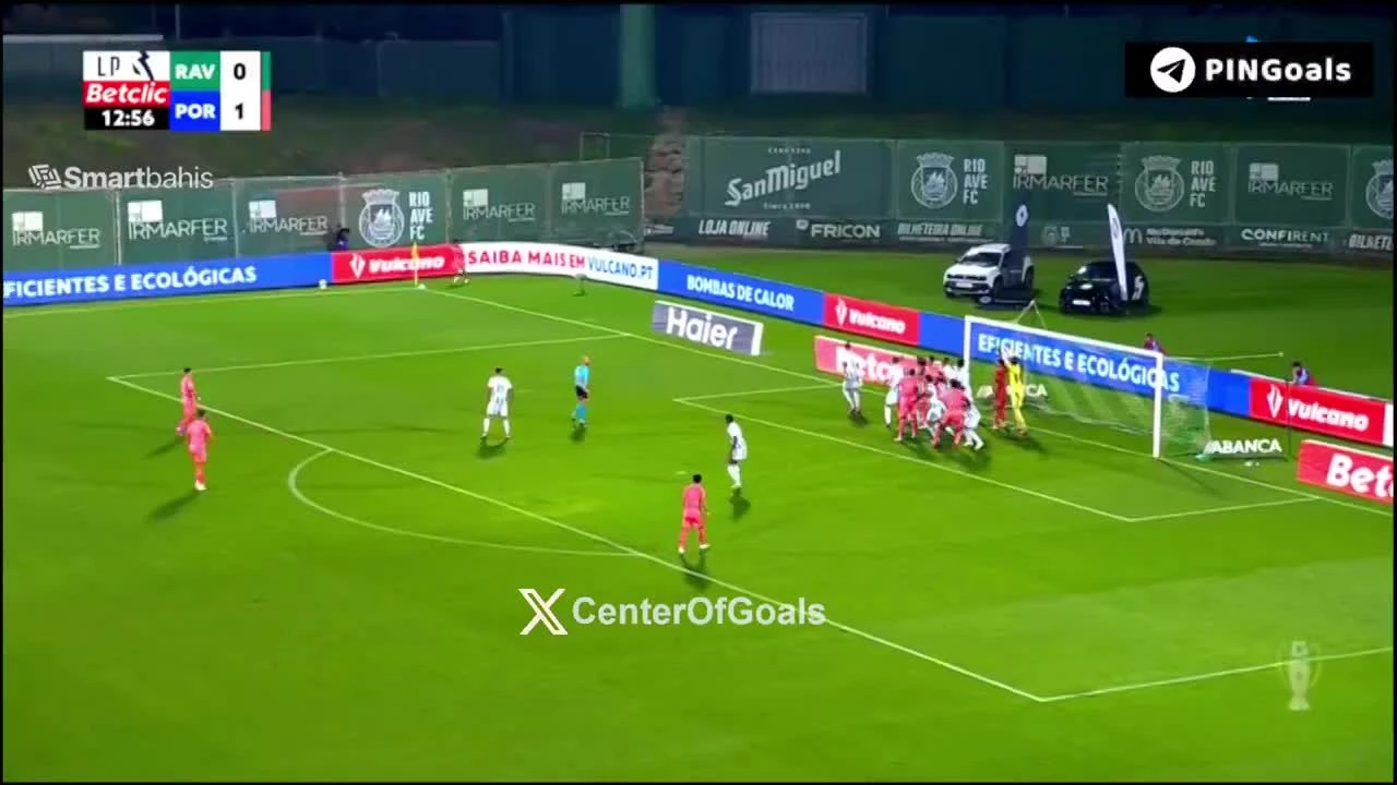 zaslepka skrotu video