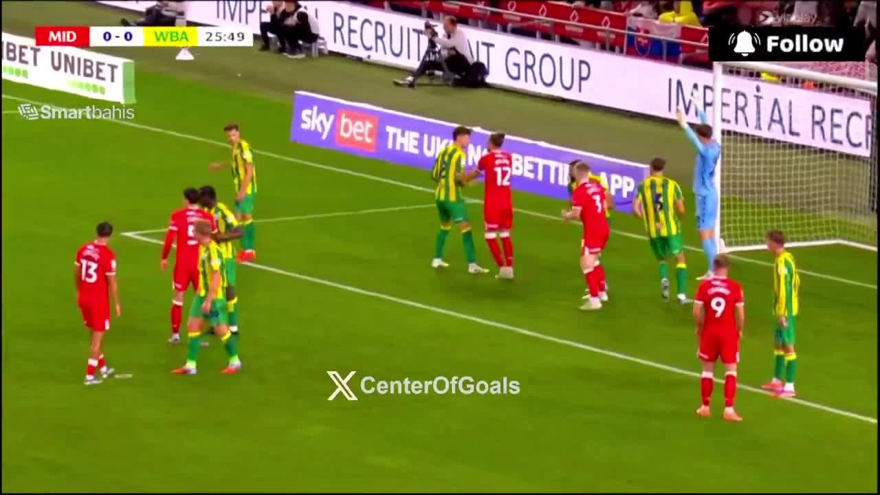 zaslepka skrotu video
