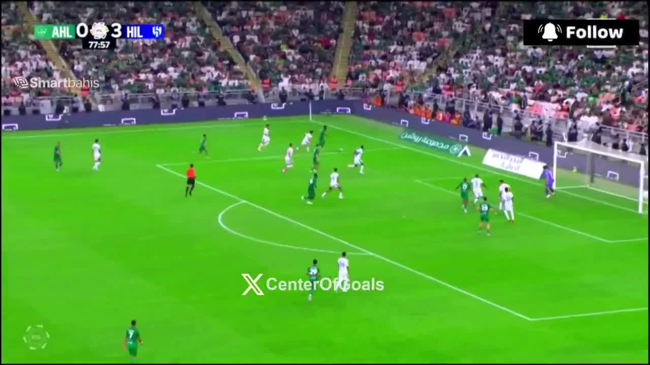 zaslepka skrotu video