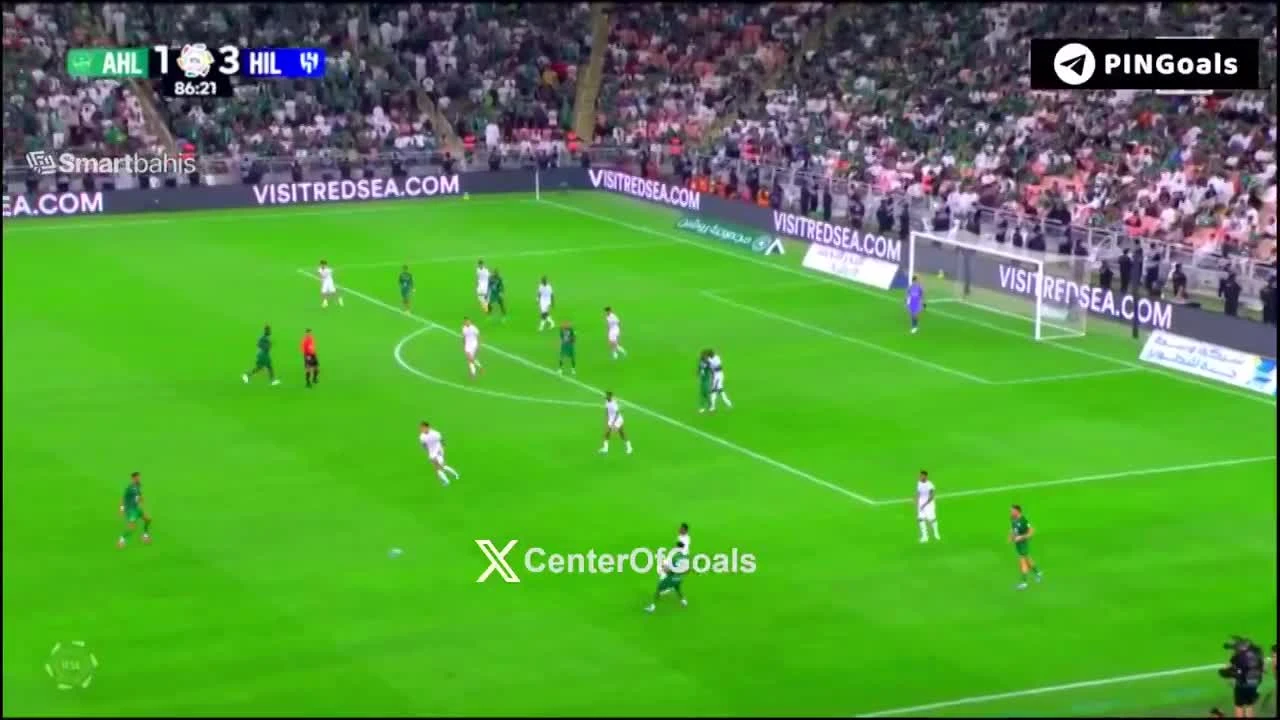 zaslepka skrotu video