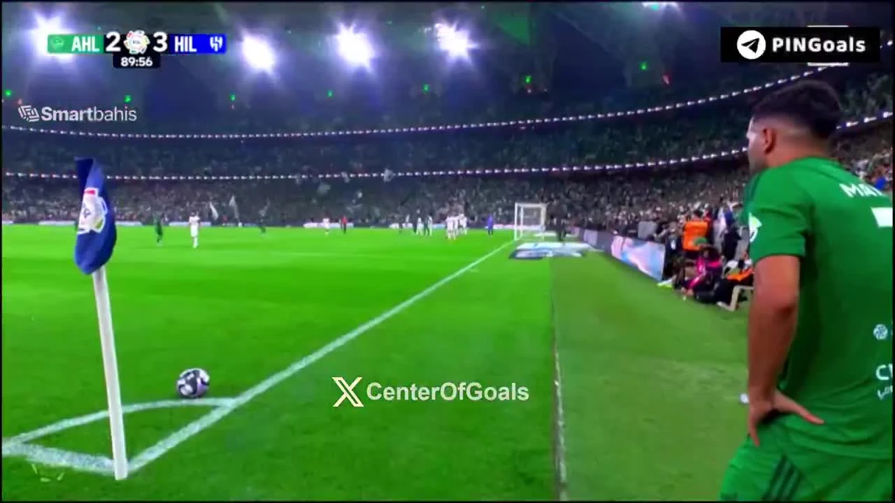 zaslepka skrotu video