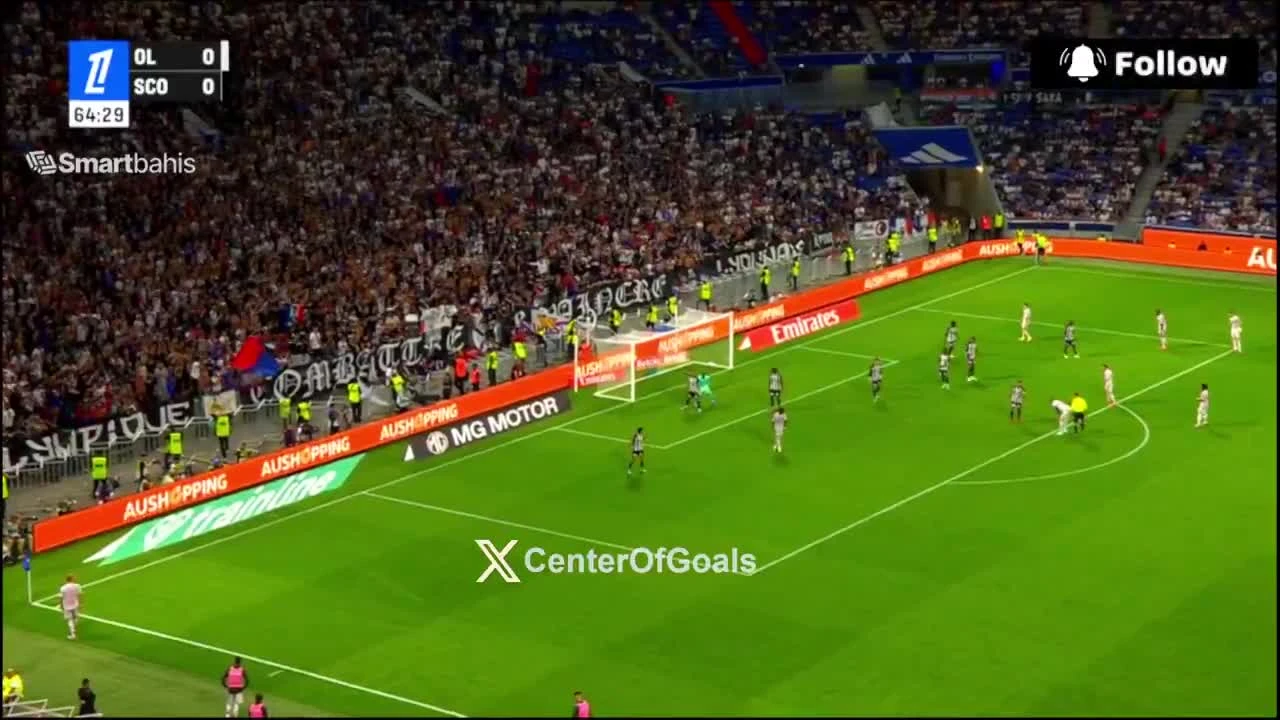 zaslepka skrotu video