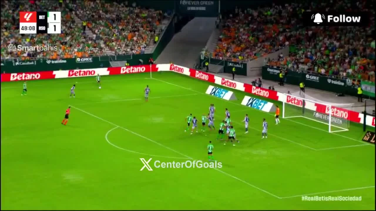 zaslepka skrotu video