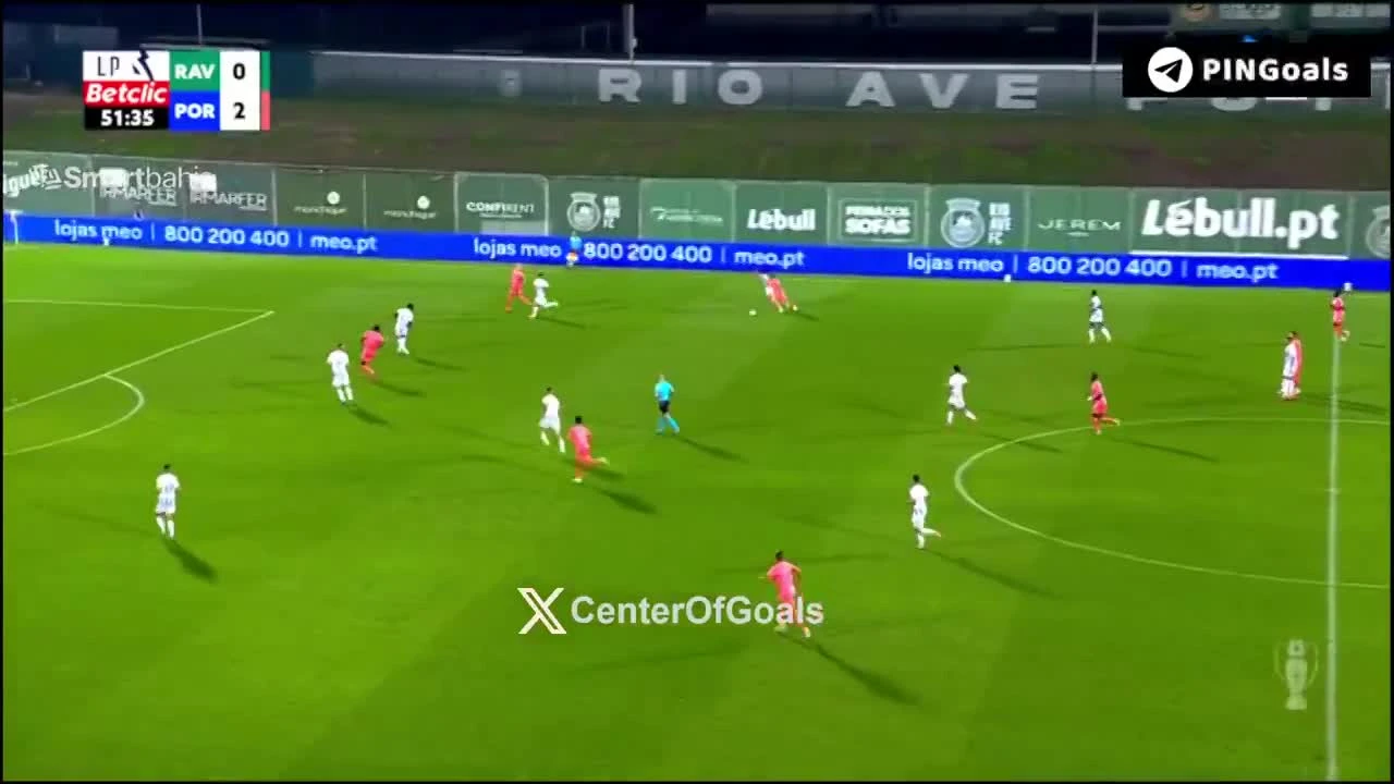 zaslepka skrotu video