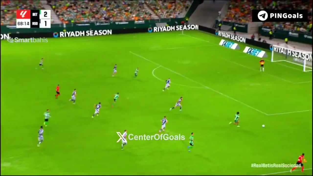 zaslepka skrotu video