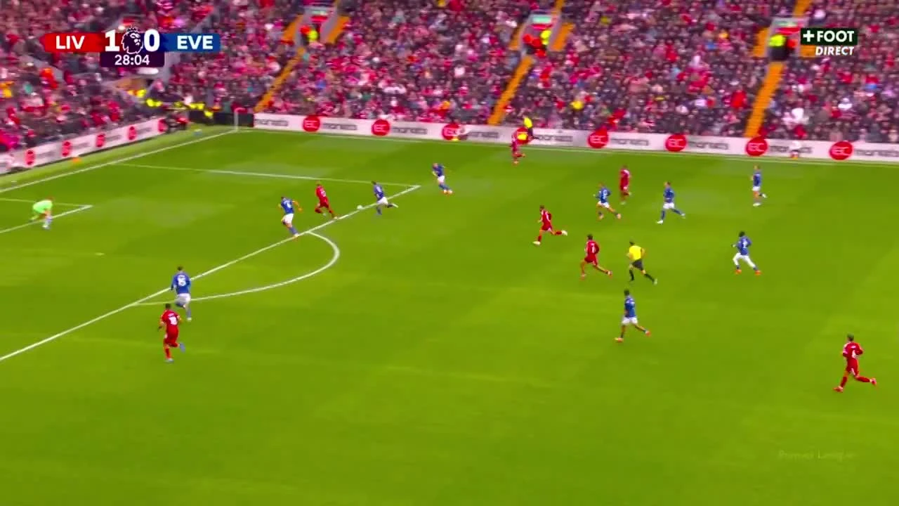zaslepka skrotu video